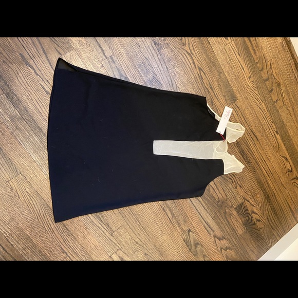Parker New Silk Pipsy Sheer Black and White Shift Dress Size Medium - Picture 9 of 12